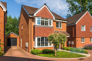 Photo 12- click for photo gallery